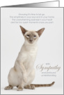 Lilac Point Siamese Cat Pet Sympathy Euthanasia card