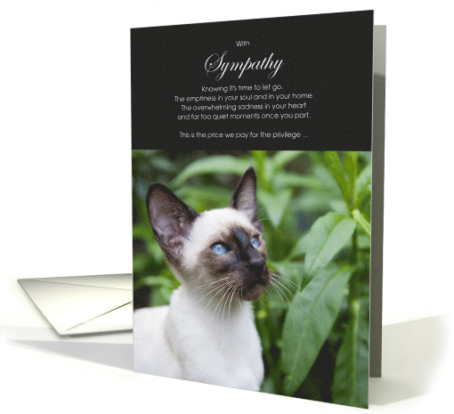 Seal Point Siamese Cat Pet Sympathy Euthanasia card (1527776)