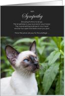 Seal Point Siamese Cat Pet Sympathy Euthanasia card