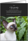 Seal Point Siamese Cat Pet Sympathy Euthanasia card