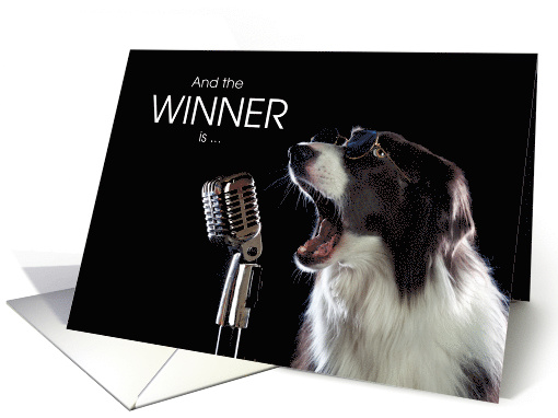 Funny Border Collie Dog Award Congratulations card (1527786)