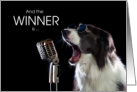 Funny Border Collie Dog Award Congratulations card