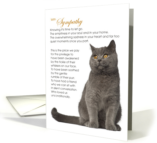 British Shorthair Cat Pet Sympathy Euthanasia card (1528042)
