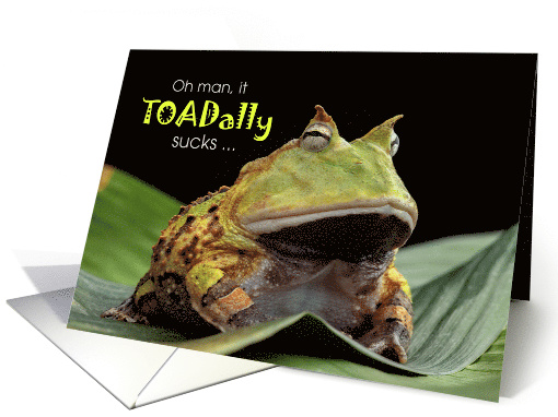 Funny Get Well It TOADally Sucks Amphibian Theme card (1528070)