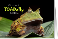 Funny Get Well It TOADally Sucks Amphibian Theme card