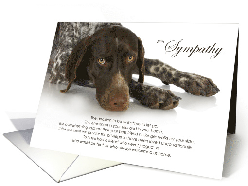 English Pointer Dog Pet Sympathy Euthanasia card (1528704)