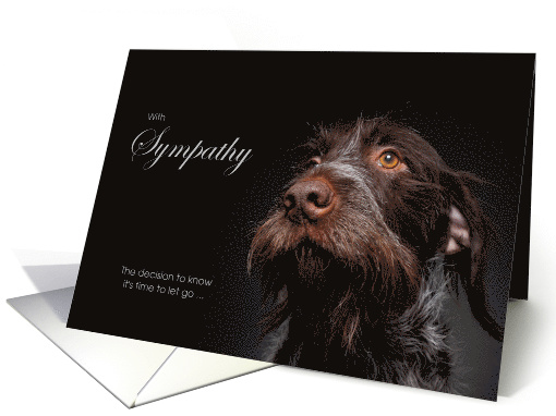 Wirehaired Pointer Dog Pet Sympathy Euthanasia card (1528712)