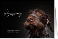 Wirehaired Pointer Dog Pet Sympathy Euthanasia card