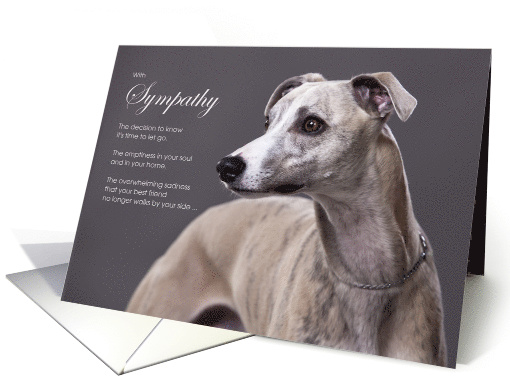 Whippet Dog Pet Sympathy Euthanasia card (1529400)