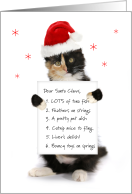 Cute Tortoiseshell Cat in a Santa Hat with Wish List card