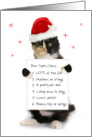Cute Tortoiseshell Cat in a Santa Hat with Wish List card