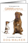 for Dog Walker Thanksgiving Two Cute Dogs are GRRRateful card