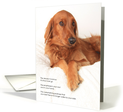 Irish Setter Dog Pet Sympathy Euthanasia card (1532436)