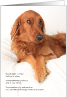 Irish Setter Dog Pet Sympathy Euthanasia card
