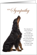 Gordon Setter Dog...