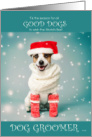 for Dog Groomer Cute Holiday Jack Russell in Teal and Red card