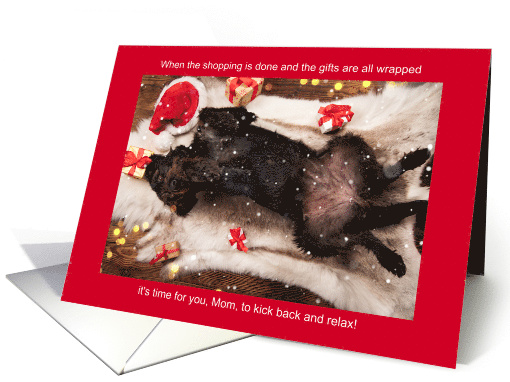 from the Dog for Pet Mom Funny Holiday Schnauzer card (1533416)