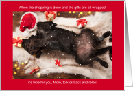 from the Dog for Pet Mom Funny Holiday Schnauzer card