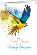 Bird Pet Sympathy Blue and Gold Macaw Parrot card