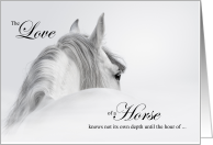 Lipizzan White Horse Pet Sympathy Sentimental card