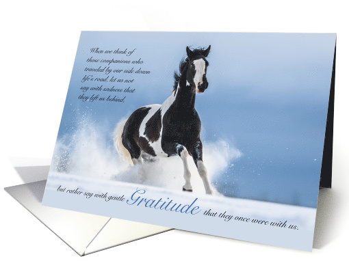 American Paint Horse Pet Sympathy Heartfelt card (1533978)