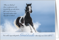 American Paint Horse Pet Sympathy Heartfelt card