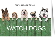 Funny Birthday Dogs Over the Fence for Pet Lover card