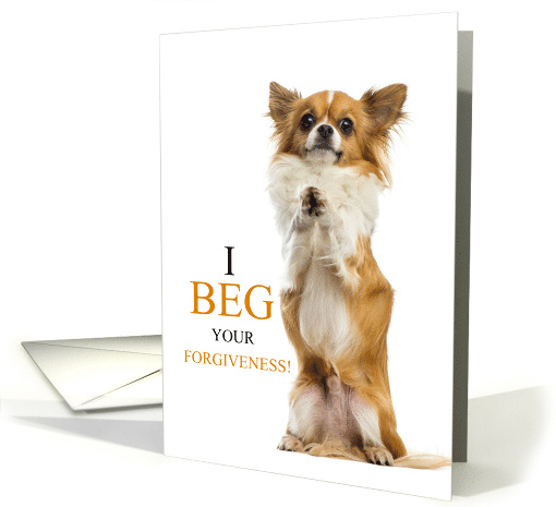 I'm Sorry Long Haired Chihuahua Dog with Funny Sentiment card
