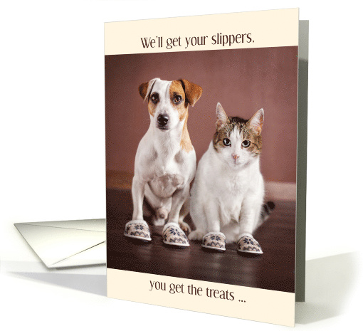 from the Pets Father's Day Cat and Dog in Slippers card (1555988)