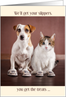 from the Pets Father’s Day Cat and Dog in Slippers card