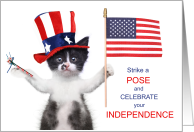 4th of July Cat Lover Red White and Blue Strike a Pose