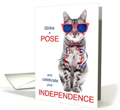 4th of July Cat Lover Red White and Blue Strike a Pose card (1555990)