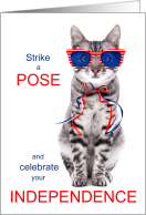 4th of July Cat Lover Red White and Blue Strike a Pose card