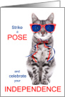 4th of July Cat Lover Red White and Blue Strike a Pose card