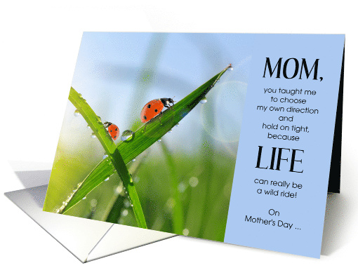 for Mom on Mother's Day Ladybug Nature Theme card (1567662)