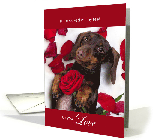 Knocked Off My Feet by Your Love Dachshund Dog card (1568394)