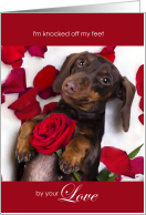 Knocked Off My Feet by Your Love Dachshund Dog card
