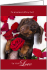 Knocked Off My Feet by Your Love Dachshund Dog card