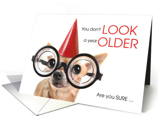 Funny Chihuahua Birthday You Don't LOOK OLDER card (1568398)