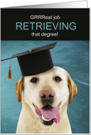 Graduation Cute Yellow Labrador Retriever Humor card