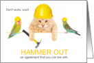 Divorce Encouragement Cat and Parrots with Hardhats card