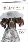 Pet Groomer Thank You Funny German Shorthaired Pointer card