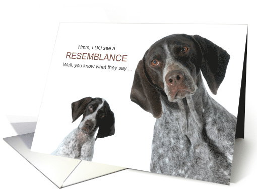 Funny Birthday from the Dog English Shorthaired Pointers card