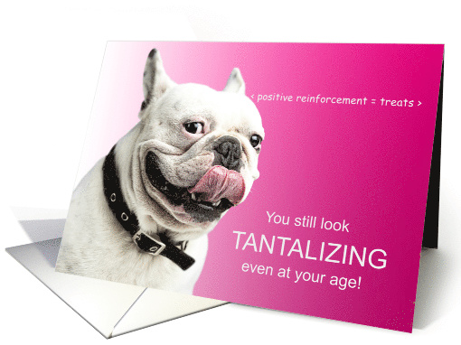 Funny French Bulldog Birthday for Dog Lover card (1575244)
