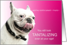 Funny French Bulldog Birthday for Dog Lover card