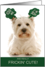 Funny St. Patrick’s Day Westie Terrier Dog Kiss Me card