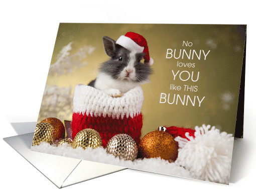 from the Bunny Christmas Rabbit in a Santa Hat card (1581170)