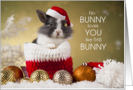 from the Bunny Christmas Rabbit in a Santa Hat card