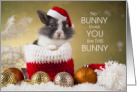 from the Bunny Christmas Rabbit in a Santa Hat card