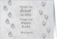 Pet Sympathy Euthanasia Paw Prints in Rock card